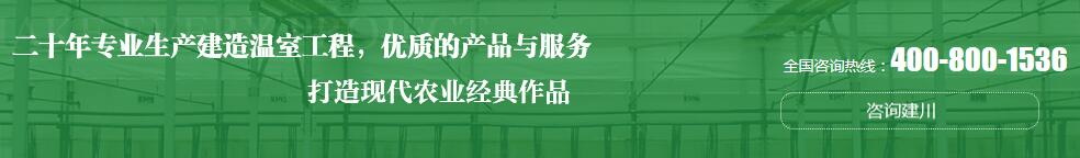 四川養殖大棚