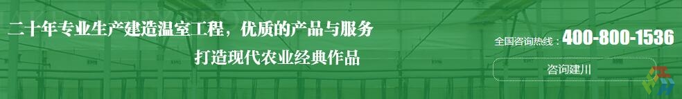 溫室蔬菜大棚搭建公司